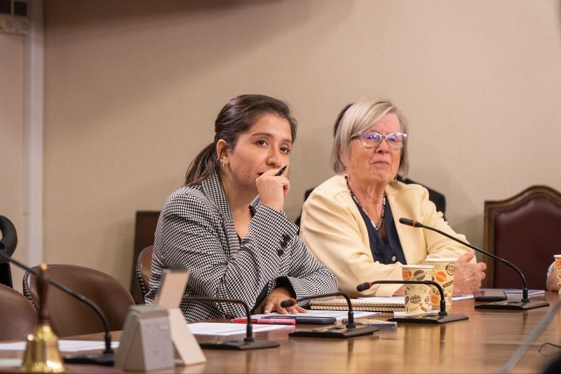 Diputadas Veloso y Bulnes exigen inmediato nombramiento de Seremi de Desarrollo Social tras 4 meses de vacancia