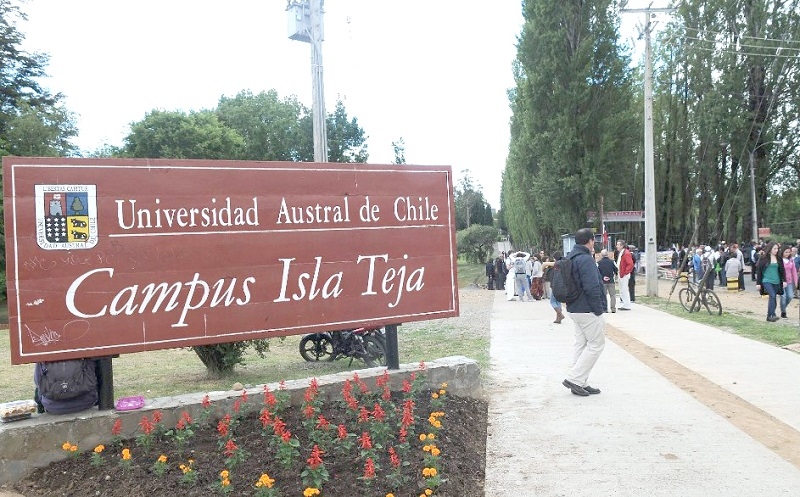 Universidad Austral evalúa el despido de unos 300 docentes
