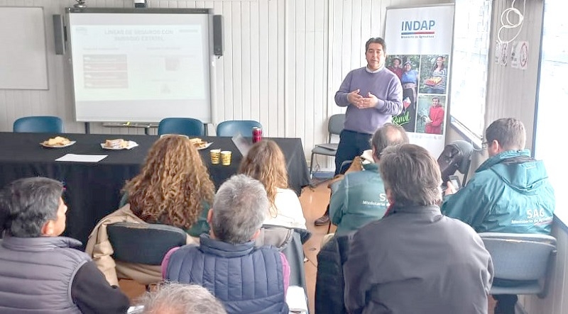 Fruticultura del Maule estaría protegida de futuros focos de mosca  de la fruta gracias a seguro colectivo contratado por Agroseguros