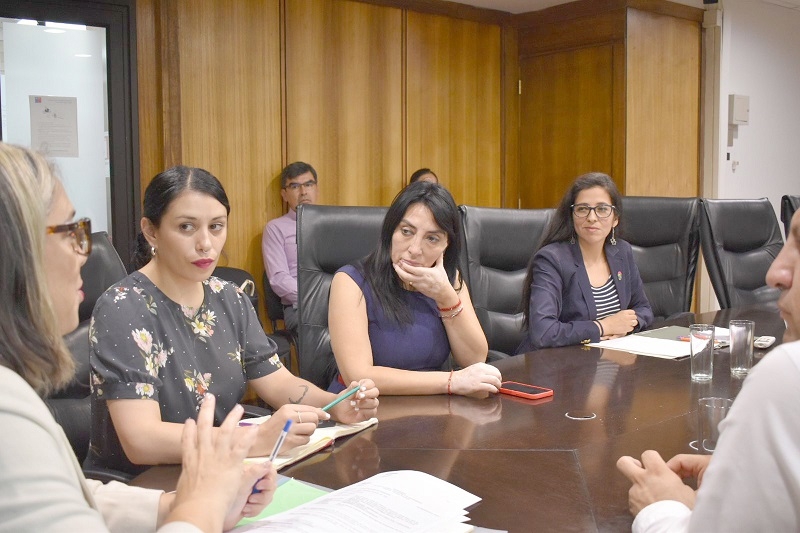 Gobernadora Regional solicita aceleración de procesos administrativos para avanzar en reconstrucción de Teatro de Cauquenes