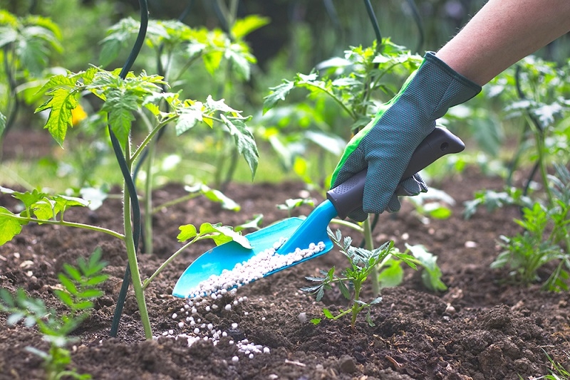 Estudio busca recuperar fósforo de aguas residuales para producir un fertilizante agrícola