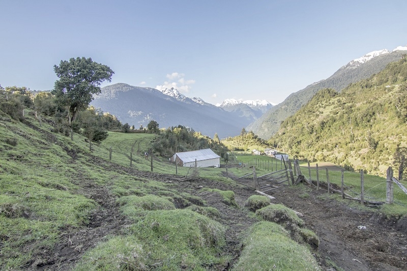 Finaliza con éxito "Saca Tu Permiso Rural": 461 millones de pesos beneficiarán directamente a 20 municipios de comunas rurales