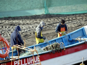 Gobierno Regional aprobó más de mil millones para capacitación de pescadores y pescadoras del Maule 