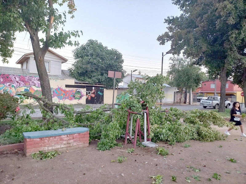 Linares:  vecinos denuncian mal estado de parques en sector urbano