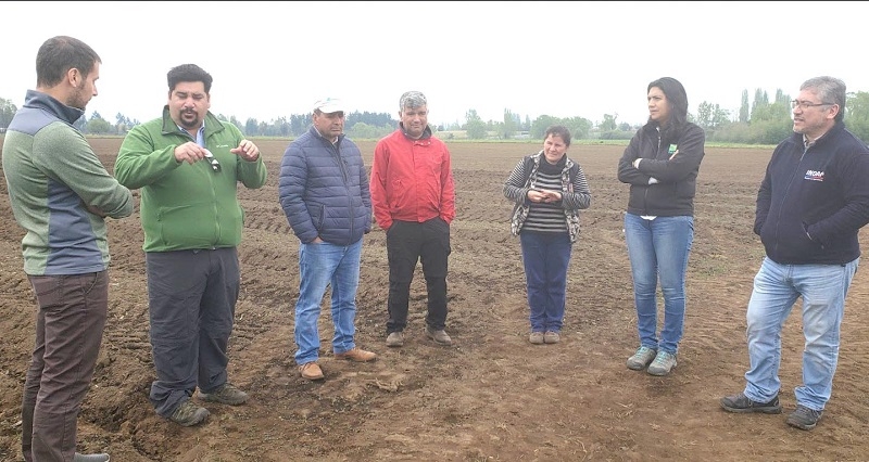 Resaltan importancia de fortalecer metodologías de extensión en agricultura familiar del Maule 