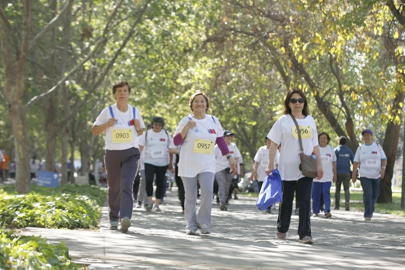  Carreras de Kinesiología y Nutrición UC preparan virtualmente a adultos mayores para “Camina60+: la meta es tu salud” del 2 de octubre