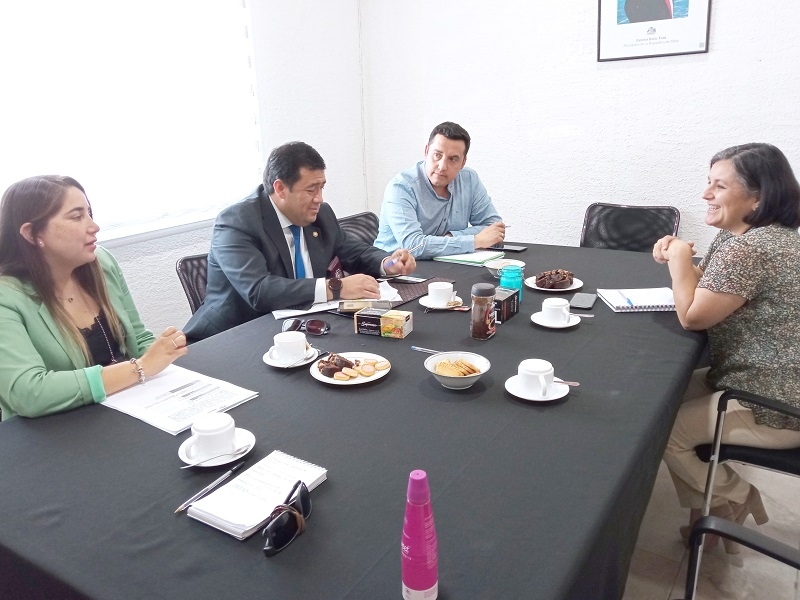 Delitos Sexuales de la PDI y SernamEG inician  acercamientos para un trabajo colaborativo