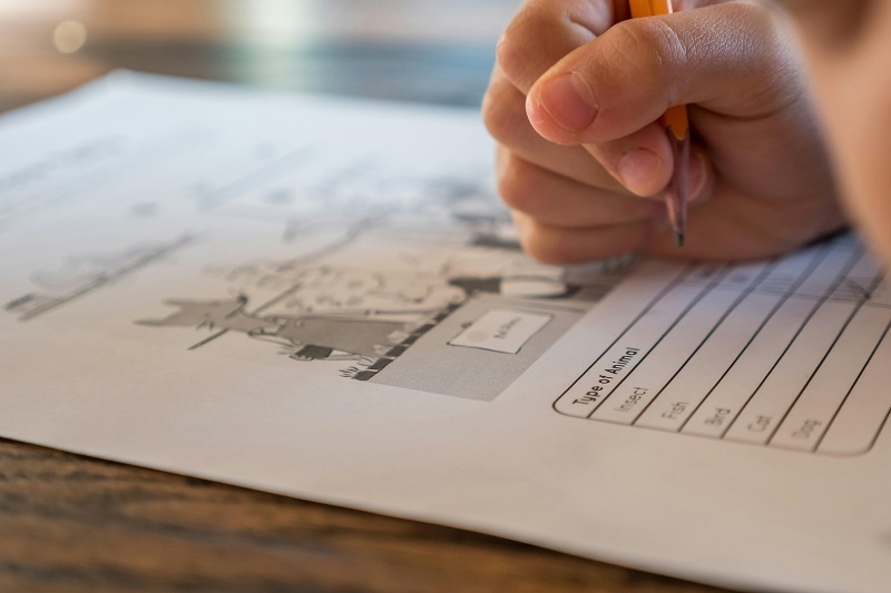 Primer preuniversitario online ofrece ensayos PAES gratuitos para colegios y liceos de todo Chile