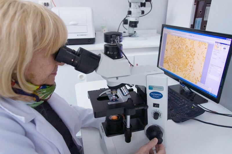 ¡Cúrcuma en polvo! Experta en cáncer explica cómo esta planta puede hacer que los pólipos no lleguen a transformarse en un tumor