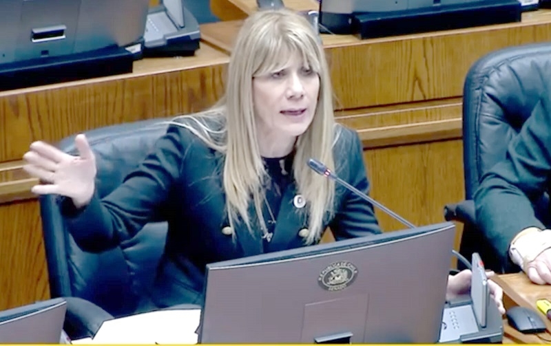 Senadora Rincón (PD) anunció “retiro” de proyecto de vertedero en Gúmera y comunidades acusan error de la parlamentaria