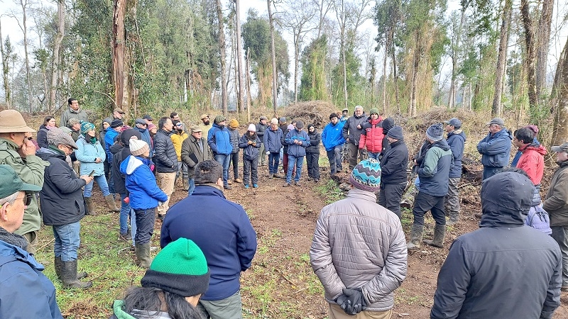 Expertos buscan transformar uso de bosque nativo en una práctica responsable y rentable en Chile
