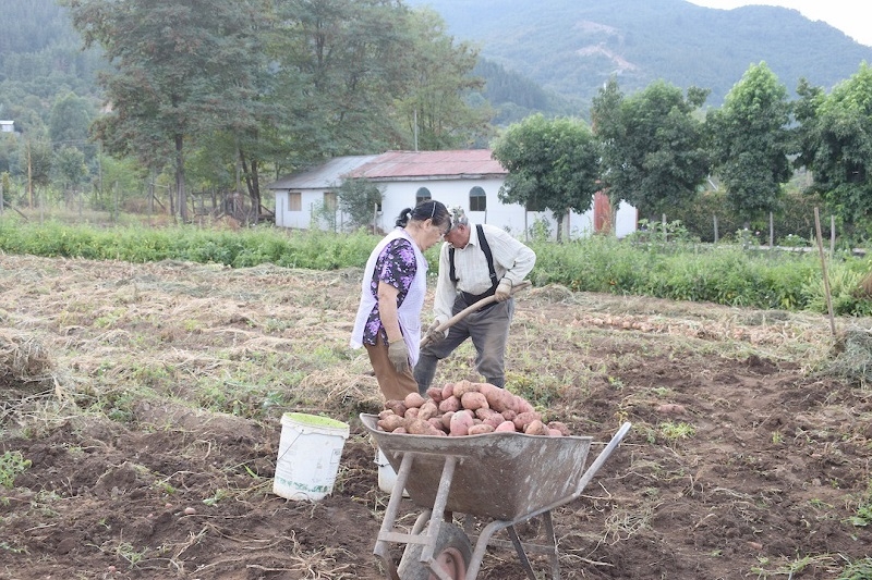 Sondeo de Regando Futuro:  Falta de agua para producir alimentos es la principal  preocupación de pequeños agricultores