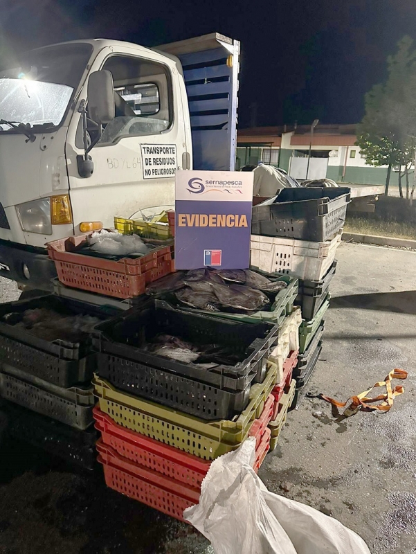 En control carretero Sernapesca Maule incautó un vehículo y más de una tonelada de reineta ilegal 