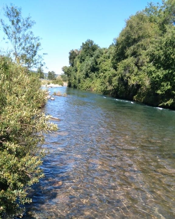 Presidente JVRM, Carlos Diez: “Hemos tenido que llegar a consignas extremas para asegurar el agua para riego”