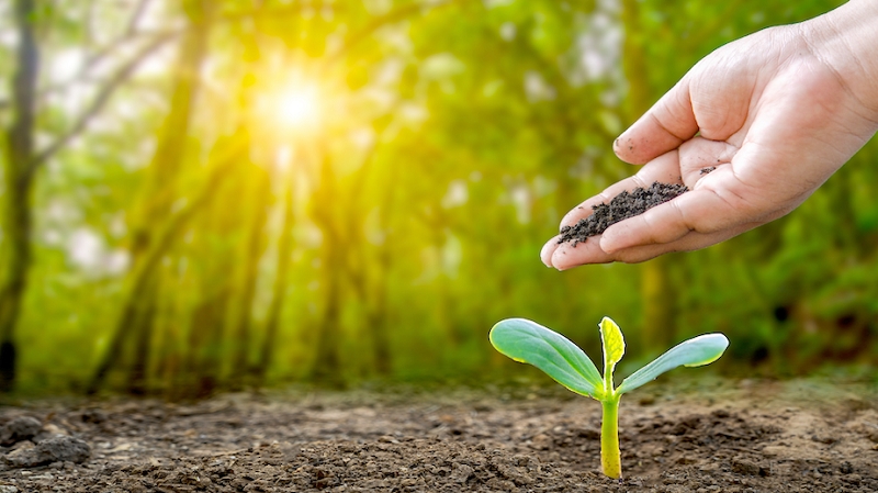 Recuperación biológica del suelo para enfrentar el cambio climático