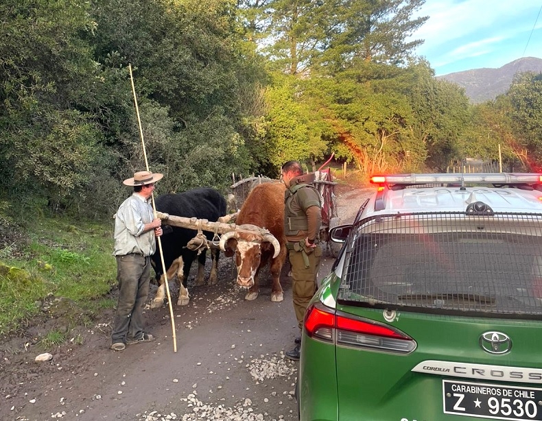 Linares:Carabineros despliega seguridad en sector de Embalse Ancoa