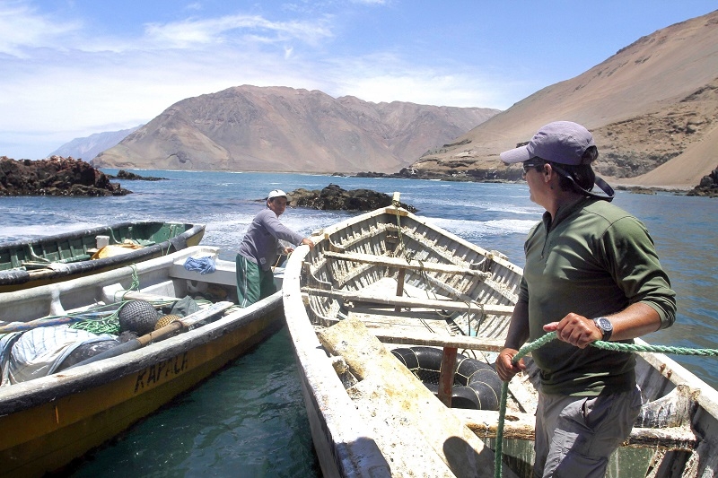 Turismo, asociatividad e inocuidad alimentaria: Mujeres de la pesca artesanal se capacitarán para fortalecer su desarrollo y disminuir brechas de género