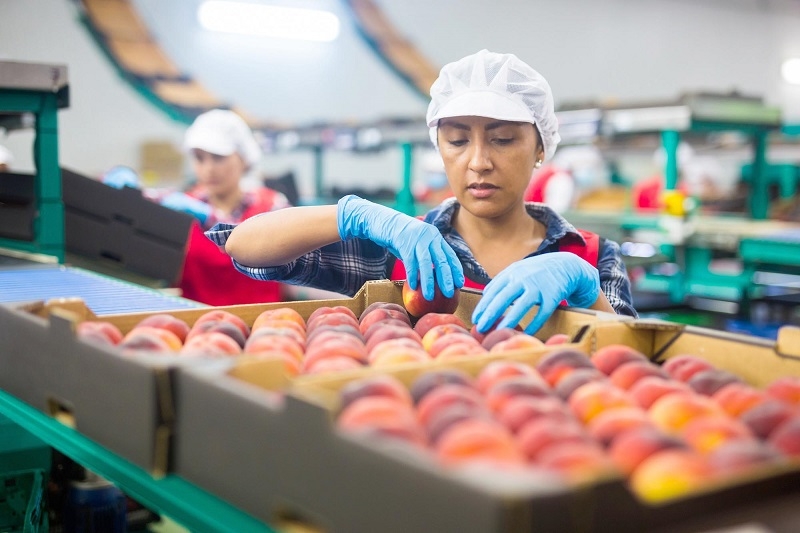 Mujeres: las más afectadas por la débil estructura del mercado laboral