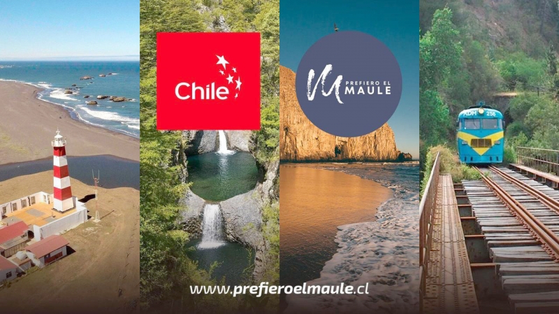 “Prefiero el Maule” cumple 5 años y lo celebra junto a Marca Chile con taller para emprendedores
