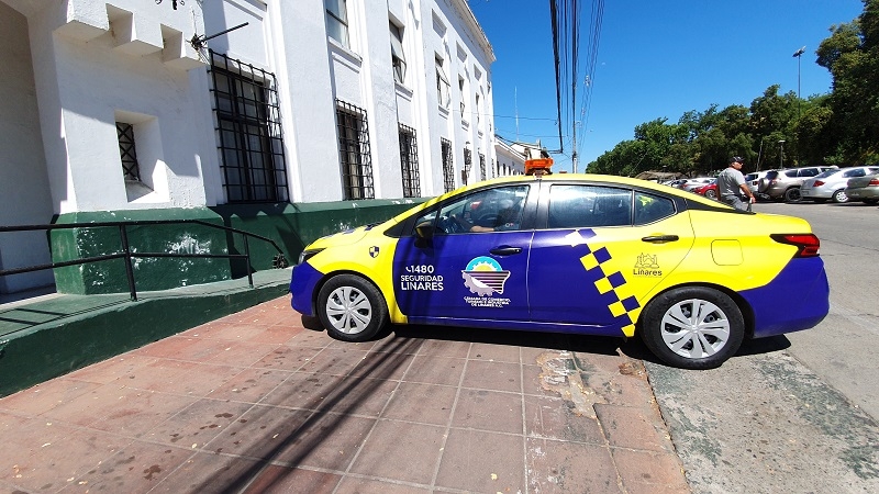 Seguridad municipal: enfatizan la capacitación para inspectores que realicen funciones con Carabineros