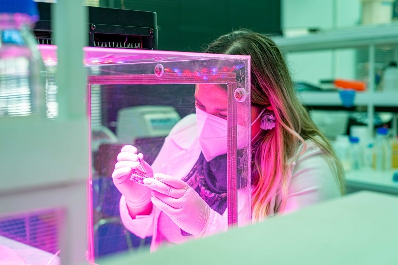 Académica UTalca es premiada como  una de las mejores científicas de Latinoamérica      