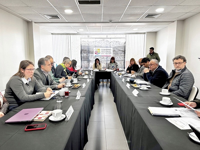 En GORE Maule sesionó 2do pleno del Comité Desarrollo Productivo Regional