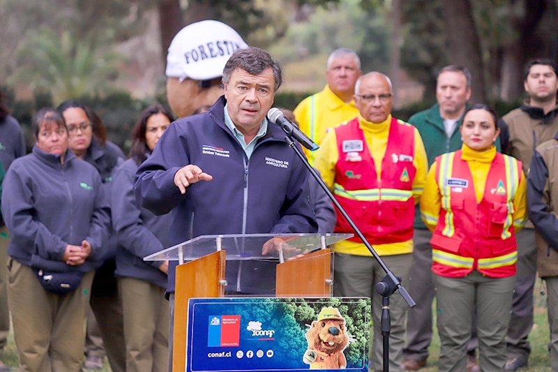 Gobierno promulga ley que crea el nuevo Servicio Nacional Forestal 