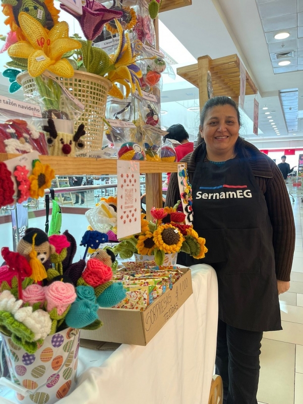 Programa Mujer Emprende de SernamEG cierra postulaciones en el Maule