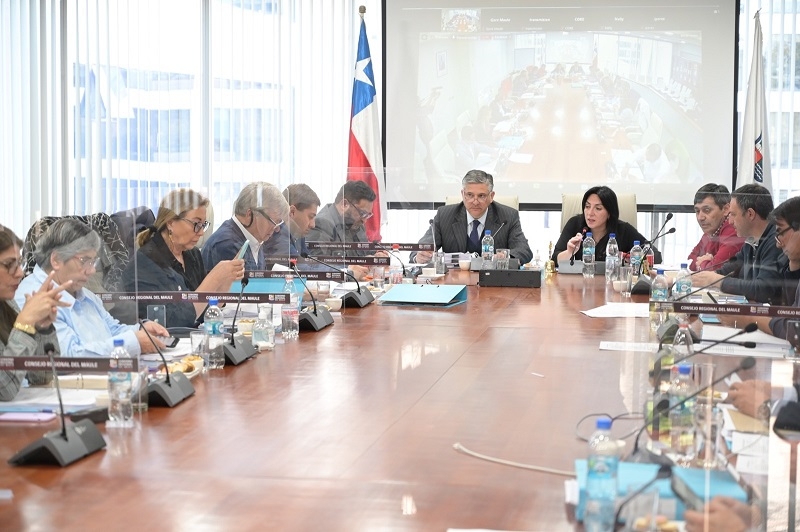 CORE aprobó casi $3 mil millones para conservar la Avenida Chorrillos de San Javier
