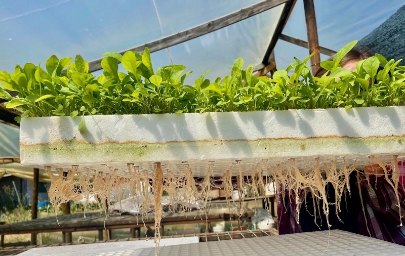 Académicos UTalca desarrollarán huertos empleando  agricultura vertical de bajo costo 