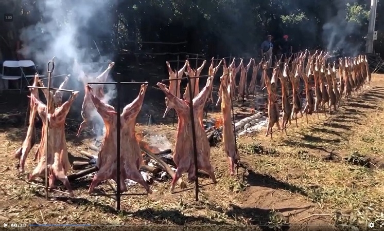 Exitosa fiesta del Criancero en Linares 