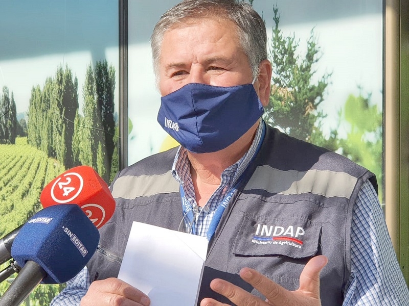 INDAP Maule dispone de $1.100 millones para mejorar calidad de los suelos agropecuarios 