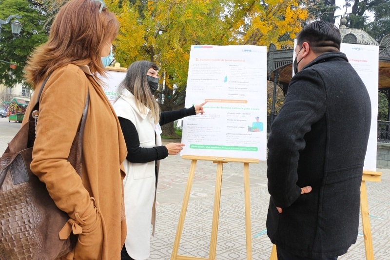 Autoridades invitaron a agricultores y propietarios forestales a aprovechar medidas de reactivación económica  