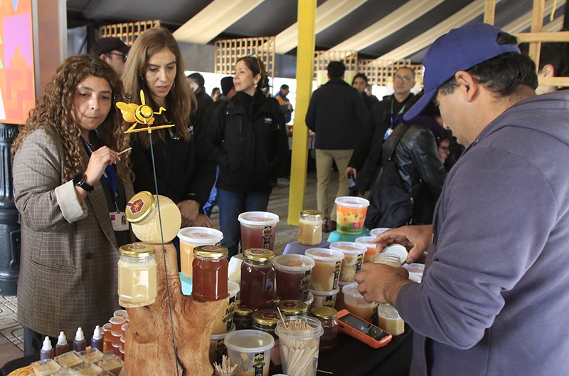 Con exitosa feria apícola el Maule celebró el Día de la Miel