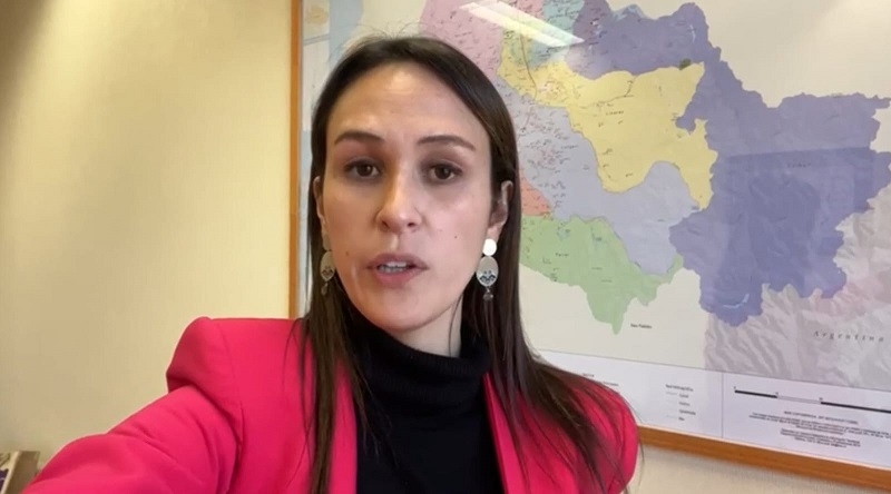 Diputada Labra (RN) ingresa proyecto que permitiría a las policías portar armas automáticas para combatir crimen organizado