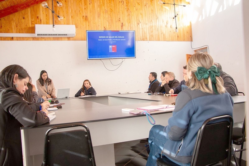 Seremi de Salud conforma Mesa de Salud Mental en Villa Alegre 