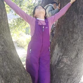 En Colegio Margot Loyola de Linares  crean Foto Exposición del Día Mundial  del Árbol 