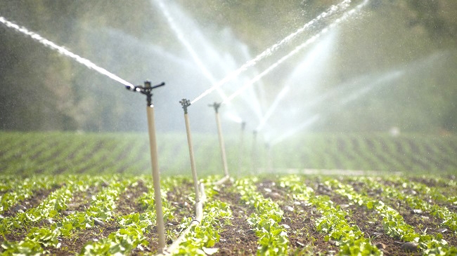 Expo Chile Agrícola concluye definiendo acciones para enfrentar la sequía y el cambio climático
