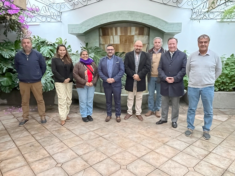 Consejo Regional de las Culturas del Maule recibe a tres nuevos integrantes