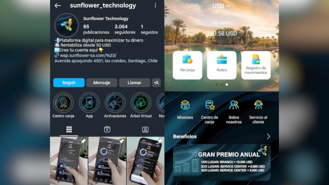 "Sunflower", la firma que se esfumó y perpetró una eventual megaestafa a más de 3 mil chilenos