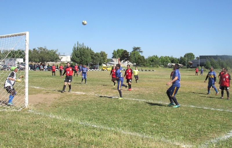 Linares: En la Ballica Norte se realizará clausura del campeonato de preparación Daniel Zurita