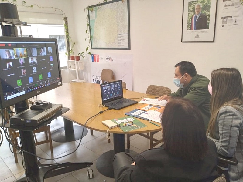 Más de 838 proyectos postularon al Fondo Nacional del Adulto Mayor 2021 en el Maule