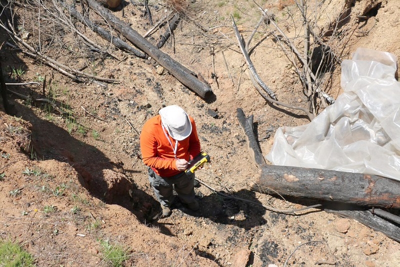El 60% de los suelos de la región del Maule están degradados por incendios y cambio climático