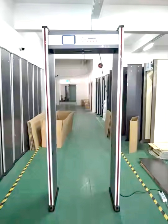 Avanza proyecto que autoriza instalación de detectores de metales en colegios y centros de salud