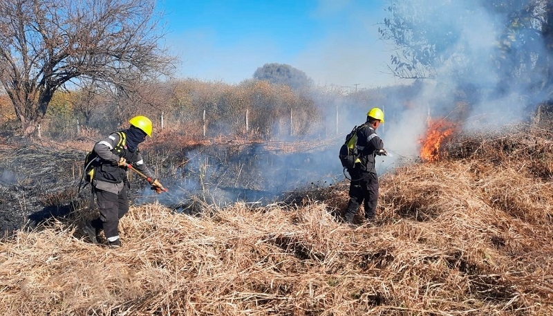 En San Javier:   Persona que provocó incendio casual de pastizales falleció electrocutada