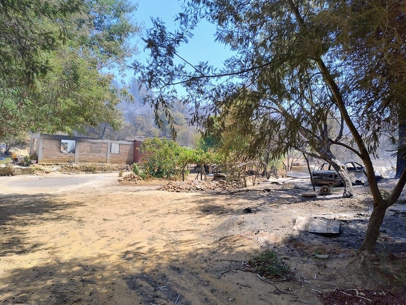   SENAPRED actualizó situación de incendios forestales en Región del Maule.