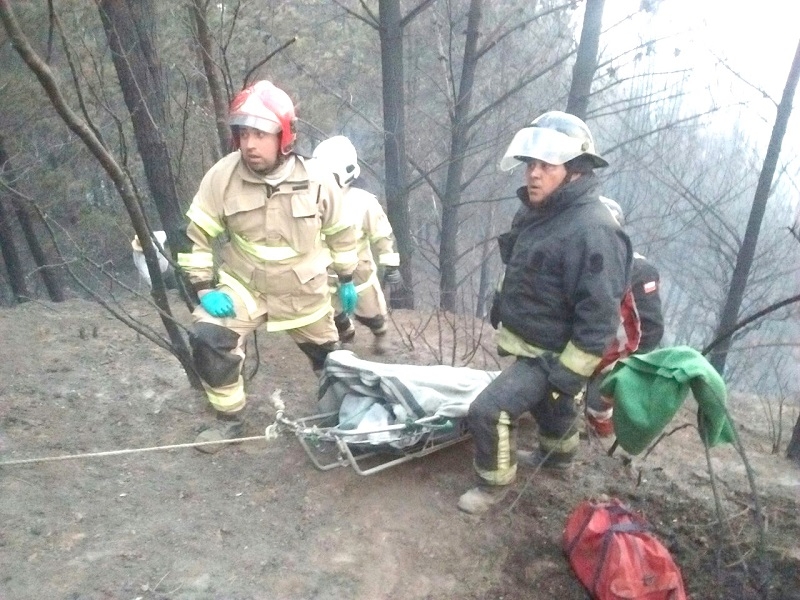 Cauquenes: En sesión de la Mesa Forestal_ Rinden homenaje póstumo a fallecidos en accidente aéreo del 2009