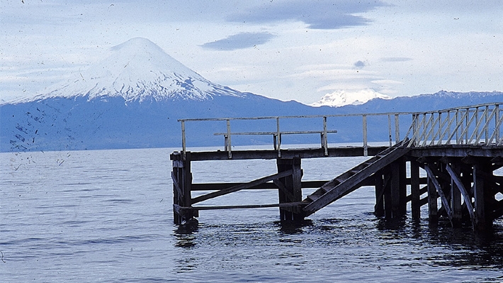 Autoridades alertan altos niveles de toxicidad en el lago Villarrica: Podría afectar a humanos