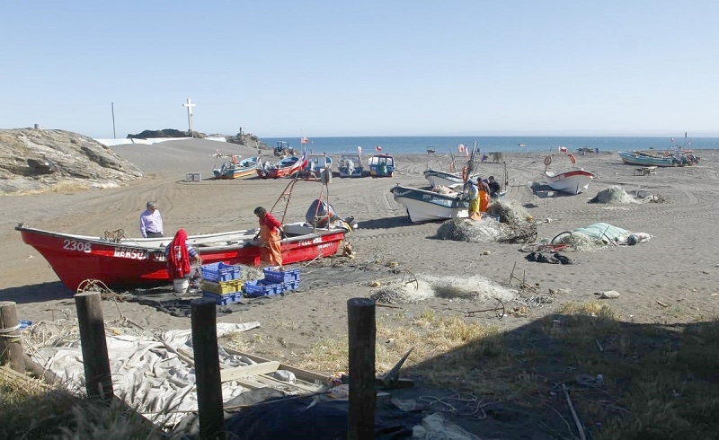 Subpesca inicia proceso para nominar a miembros del consejo zonal de pesca de Valparaíso, O’Higgins, Maule y las Islas Oceánicas