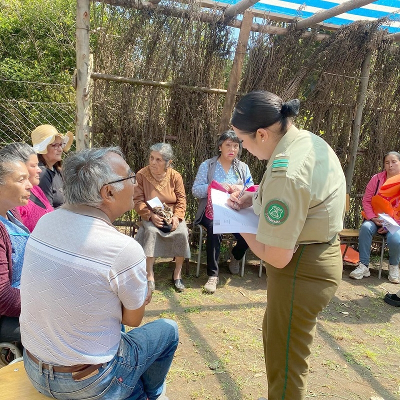 Programa Gobierno en Terreno llega al sector Las Lomas de Pelluhue